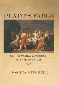 Produktbild: Mitchell, J: Plato's Fable