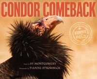 Produktbild: Condor Comeback