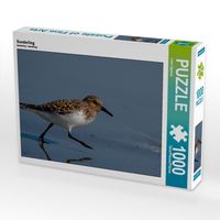 Produktbild: CALVENDO Puzzle Sanderling | 1000 Teile Lege-Gr&ouml;&szlig;e 64x48cm Foto-Puzzle f&uuml;r gl&uuml;ckliche Stunden