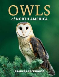 Produktbild: Owls Of North Amer