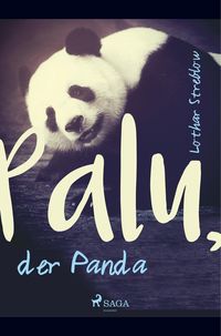 Produktbild: Palu, der Panda