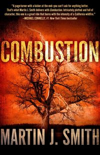 Produktbild: Smith, M: Combustion