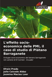 Produktbild: L'effetto socio-economico delle PMI, il caso di studio di Pl&aacute;tano Barraganete