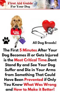 Produktbild: First Aid Guide for Your Dog