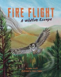 Produktbild: Fire Flight