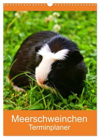 Produktbild: Meerschweinchen Terminplaner (Wandkalender 2026 DIN A3 hoch), CALVENDO Monatskalender