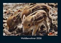 Produktbild: Waldbewohner 2026 Fotokalender DIN A4