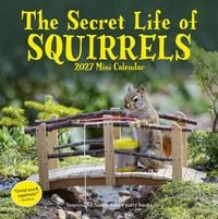 Produktbild: Secret Life of Squirrels Mini Calendar 2027