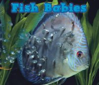 Produktbild: Fish Babies