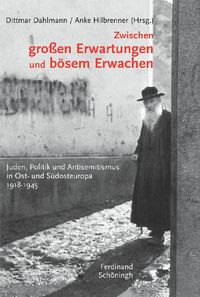 Produktbild: Zwischen gro&szlig;en Erwartungen und b&ouml;sem Erwachen