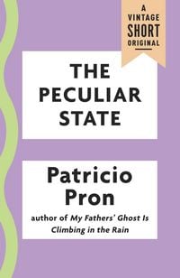Produktbild: The Peculiar State