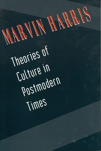 Produktbild: Theories of Culture in Postmodern Times