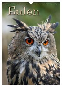 Produktbild: Eulen (Wandkalender 2027 DIN A3 hoch), CALVENDO Monatskalender