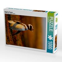 Produktbild: Magellan-Pinguin (Puzzle)