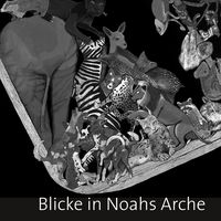 Produktbild: Blicke in Noahs Arche