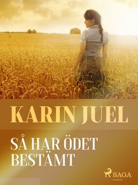 Produktbild: S&aring; har &ouml;det best&auml;mt