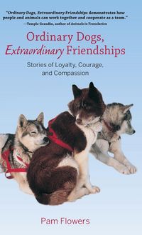Produktbild: Ordinary Dogs, Extraordinary Friendships