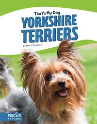 Produktbild: Yorkshire Terriers