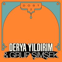 Bild vom Artikel Dost 2 vom Autor Derya Yildirim