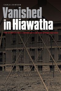 Produktbild: Vanished in Hiawatha