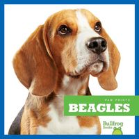 Produktbild: Beagles