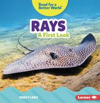 Produktbild: Rays