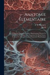 Produktbild: Anatomie &Eacute;l&eacute;mentaire: En 20 Planches Format Colombier, Repr&eacute;sentant Chacun Un Sujet Dans Son Entier &Agrave; La Proportion De Demi-nature, Formant