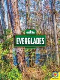 Produktbild: Everglades