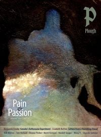 Bild vom Artikel Plough Quarterly No. 35 - Pain and Passion vom Autor Randall Gauger
