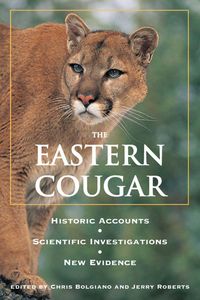Produktbild: Eastern Cougar