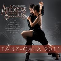 Bild vom Artikel Tanz-Gala 2011 vom Autor Ambros Orchester Seelos