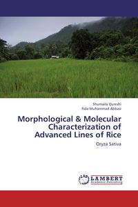 Produktbild: Morphological & Molecular Characterization of Advanced Lines of Rice