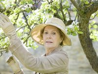 Downton Abbey - Staffel 5  [3 BRs]