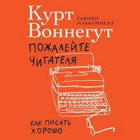 Produktbild: Pity the Reader: On Writing With Style