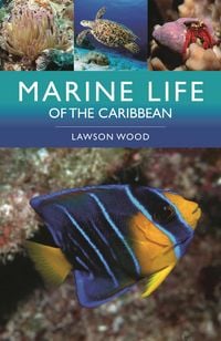 Produktbild: Marine Life of the Caribbean