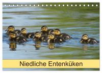 Produktbild: Niedliche Entenk&uuml;ken (Tischkalender 2026 DIN A5 quer), CALVENDO Monatskalender