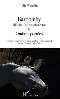 Produktbild: Baroomby