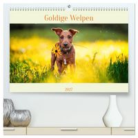Produktbild: Pfotenblitzers Goldige Welpen (hochwertiger Premium Wandkalender 2027 DIN A2 quer), Kunstdruck in Hochglanz