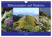 Produktbild: Bl&uuml;tenzauber auf Madeira. Wildblumen und Ziergew&auml;chse (Wandkalender 2027 DIN A4 quer), CALVENDO Monatskalender