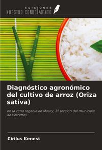 Produktbild: Diagn&oacute;stico agron&oacute;mico del cultivo de arroz (Oriza sativa)