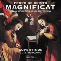 Produktbild: Magnificat/Missa Salve Regina/Marian Antiphons