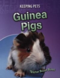 Produktbild: Binns, T: Guinea Pigs
