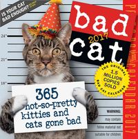 Produktbild: Bad Cat Page-A-Day Calendar 2017