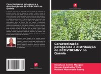 Produktbild: Caracteriza&ccedil;&atilde;o patog&eacute;nica e distribui&ccedil;&atilde;o do BCMV/BCMNV no Qu&eacute;nia