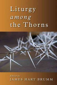 Produktbild: Liturgy Among the Thorns: Essays on Worship in the Reformed Church in America