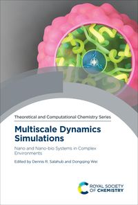 Produktbild: Multiscale Dynamics Simulations