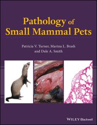 Produktbild: Pathology of Small Mammal Pets
