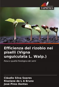 Produktbild: Efficienza del rizobio nei piselli (Vigna unguiculata L. Walp.)