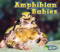 Produktbild: Amphibian Babies