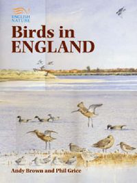 Produktbild: Birds in England